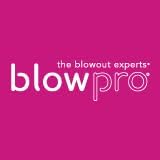 blowpro Cordless Styling Iron Made to Travel USB Rechargeable Iron 1 Titanium Plates 35 min of Cordless Styling 3-Preset Heat Settings Travel Lock Rapid Heat Tech!