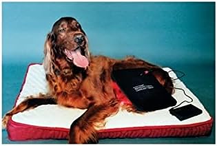 Gospel's Medium Light Therapy Pad with Case