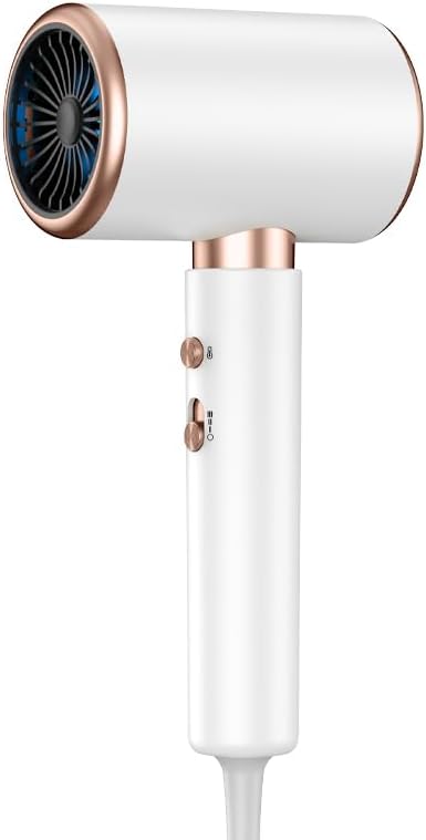 Professional Ionic Hair Dryer 1300W Fast Drying Lightweight Blow Dryer with Concentrator &amp AC Motor for Salon-Quality at Home Damage Protection for All Hair Types