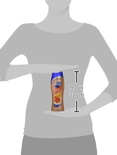 Dial Moisturizing Body Wash - Omega Moisture - Net Wt. 16 FL OZ (473 mL) Per Bottle - Pack of 3 Bottles
