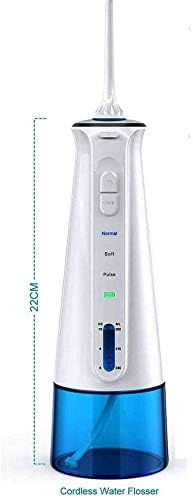 Portable Dental Oral Irrigator with 3 Modes 6 Replaceable Jet Tips Rechargeable Waterproof Teeth Cleaner for Home and Travel -300ml Detachable Reservoir (Color : Black)