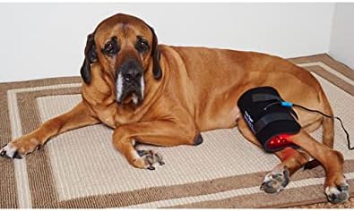 Gospel's Medium Light Therapy Pad with Case