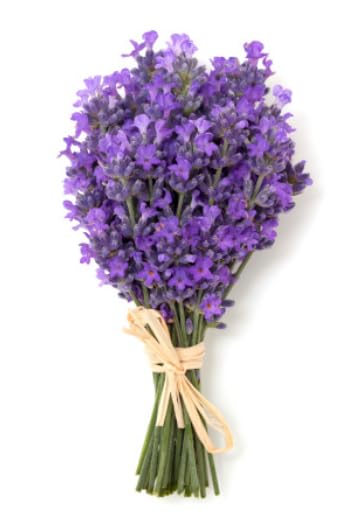 Organic Deodorant - LAVENDER FRAGRANCE - FOR WOMEN - 2.65 oz.