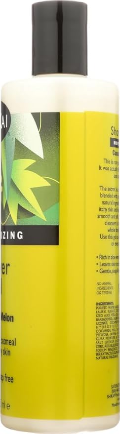 Bulk Saver Pack 12x12 FZ : Shikai Products Shower Gel - Cucumber Melon