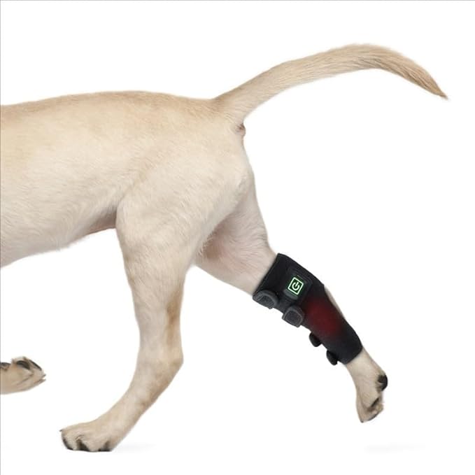 Red Light Therapy for Dogs Legs Infrared Light Therapy Belt Wearable Dogs Leg Therapy Device with 34 Light Beads for Dogs Legs Repair Relieving Joint Pain