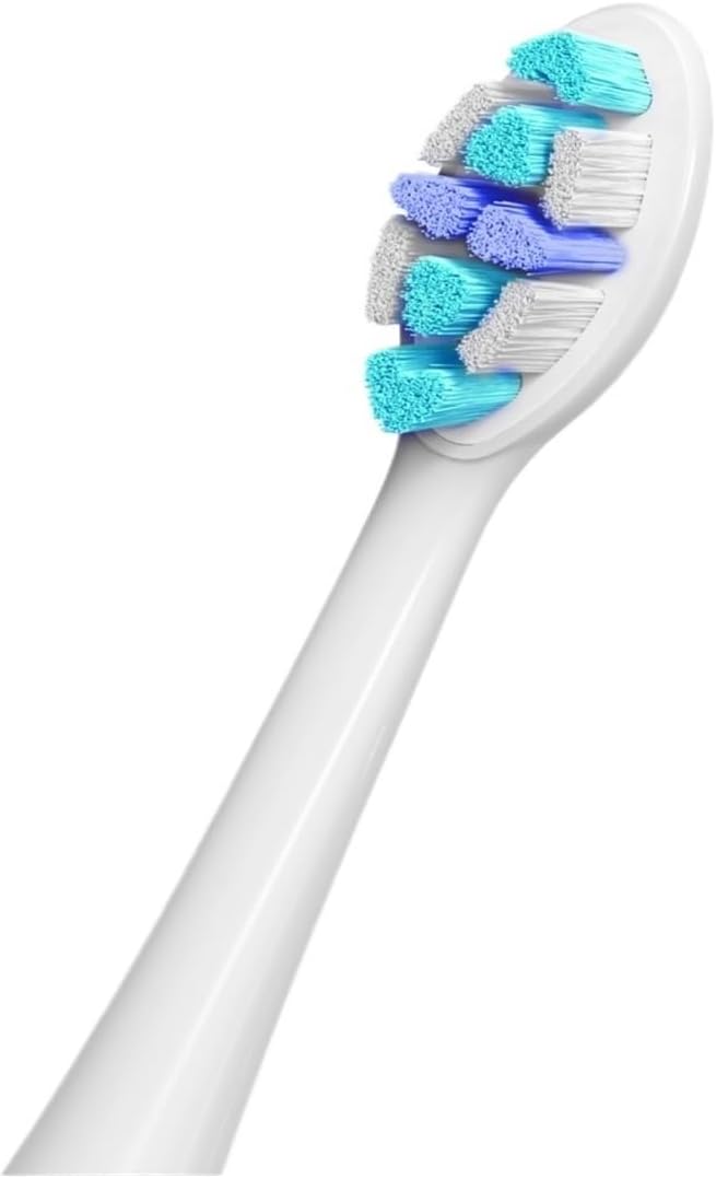 Compatible for Seago Electric Toothbrush Heads 12 PCS IPX7 Waterproof with Holder C027(SG-C027-12PCS Black)
