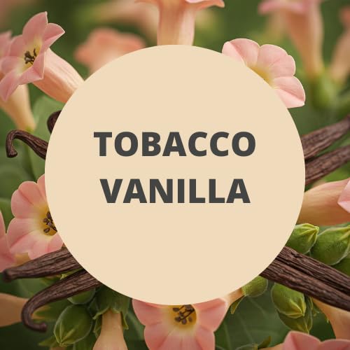 Black Canyon Tobacco Vanilla Scented Body Wash 16 Oz (2 Pack)