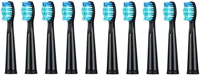 Toothbrush Heads Replaceable Brush Compatible for SG-507B/908/909/917/610/659/719/910/575/551/548(10pcs Black)