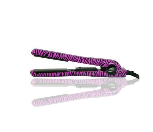 Infusion Purple Zebra