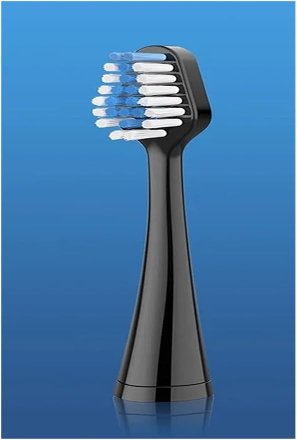 Replacement Toothbrush Heads 10 Pcs BrushCompatible with Waterpik 5.0/9.0 (WP-861/CC-01)(10 Black)