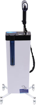 3-in-1 Nano Hair Steamer 1300W Hair Salon Nano Steamer Nanoscale Spray for Hair Care Hair Repair Floor Standing Hair Color Processor SPA Steamer with Wheels Salon Spa Equipment (White)
