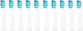 5-10Pcs Replacement Brush Heads Compatible for Seago/Fairywill Electric Toothbrush FW/SG 507/508/515/551/917/959/908 Bristle(10pcs White)
