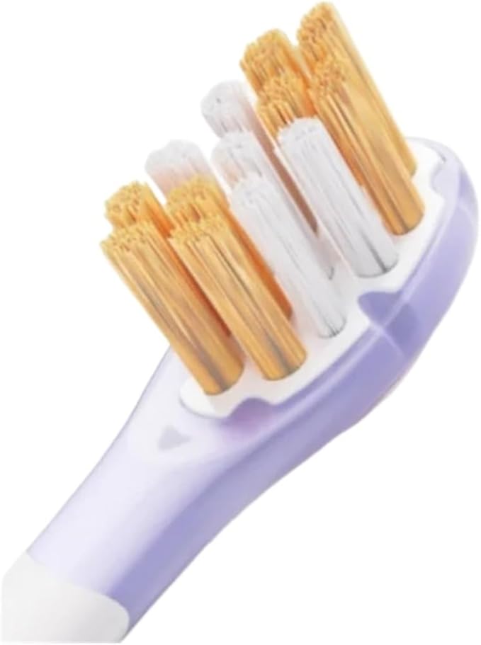 Electric Toothbrush Replacement Brush Head Compatible Phillip HX3/6/9 Series Premium Budget Medium Soft Bristle(YH751-PURPLE)