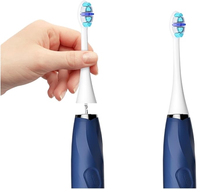 Compatible for Seago Electric Toothbrush Heads 12 PCS IPX7 Waterproof with Holder C027(SG-C027-12PCS Black)