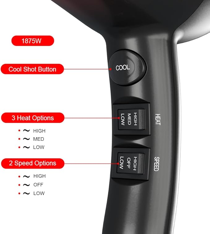 1875W Professional Hair Dryer Salon Lightweight Ionic Blow Dryer 2 Speed and 3 Heat Settings Powerful Ceramic Fast Dryer with Diffuser Concentrator and Comb (Black)