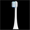 Suitable for Lohmann Electric Toothbrush Cleaning Brush Head Soft bristles Replacement T3/T5/V5/T6/T10/T10sT10X(White stem - White Blue Pointed Hair)