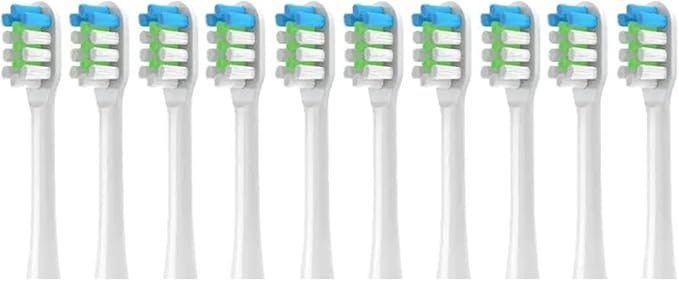 Replacement Toothbrush HeadCompatible for SEAGO S2/S5/S10/SK2/SG972/S2X/SG851(Red)