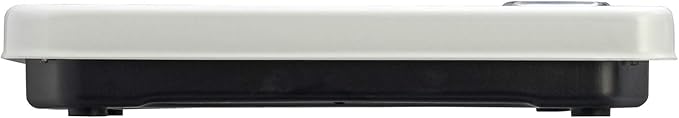 Taylor Mechanical Rotating Dial Scale (White)