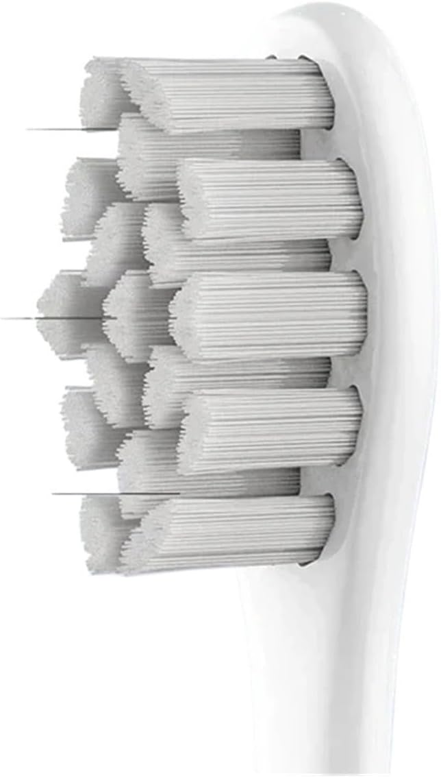 Compatible with Series Smart Toothbrush Replacement Brush Heads(P1C10 2PCS)