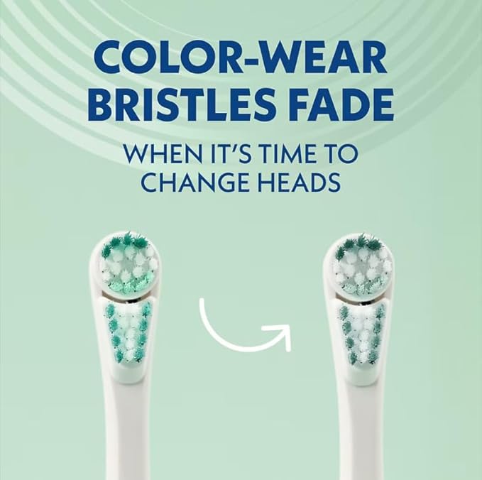 Spinbrush Pro Whiten Battery Powered Electric Toothbrush Bundle (2) Toothbrushes + (4) Replacement Heads Whiter Teeth in 1 Week Dual Action Whitening Cup &amp Soft Bristles ADA Accepted Family P