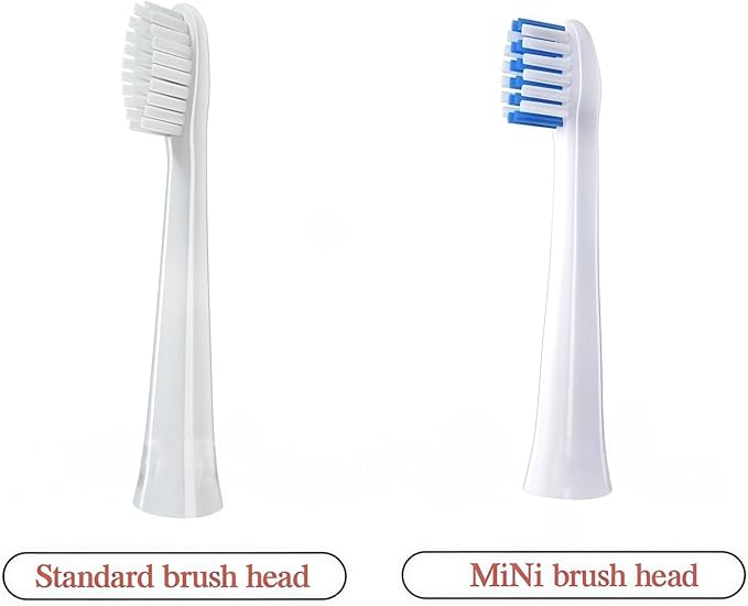 Electric Toothbrush Heads Compatible with Panasonic WEW0972 DM71/DM81/DM712/DML1/DM31/DM711/PDM7B Replacement Brush Heads(10PCS Blue)
