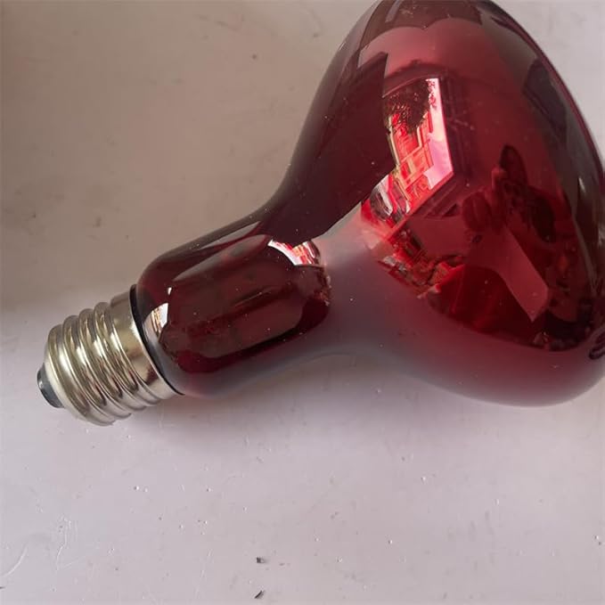 FORKIS R95E 230V 100W E27 Insulation Heat Lamp for Beauty Treatments