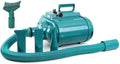 Pet Hair Dryer Professional Dual-Motor Hair Dryer 3300W Powerful Pet Hair Dryer