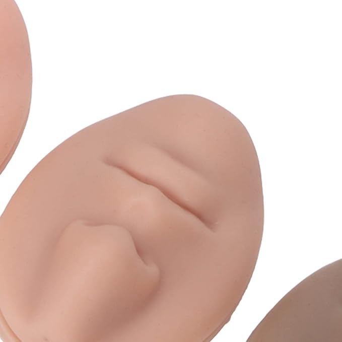 3pcs Silicone Nose Mouth Model Professional Soft Flexible Piercing Model for Beauty Salon Reusable Simulation Silicone Face Model for Acupuncture Teaching Durable Silicone Prosthetic Nose