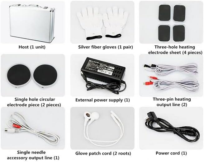 Multi-Function Meridian Electrotherapy DDS Bio-Electric Acid and Alkali Flat Massager Beauty and Physiotherapy Home
