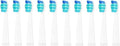 10/20Pcs Replaceable Brush HeadsCompatible for Seago/Fairywill Toothbrush FW/SG 507/508/515/551/917/959/908(20pcswhite)