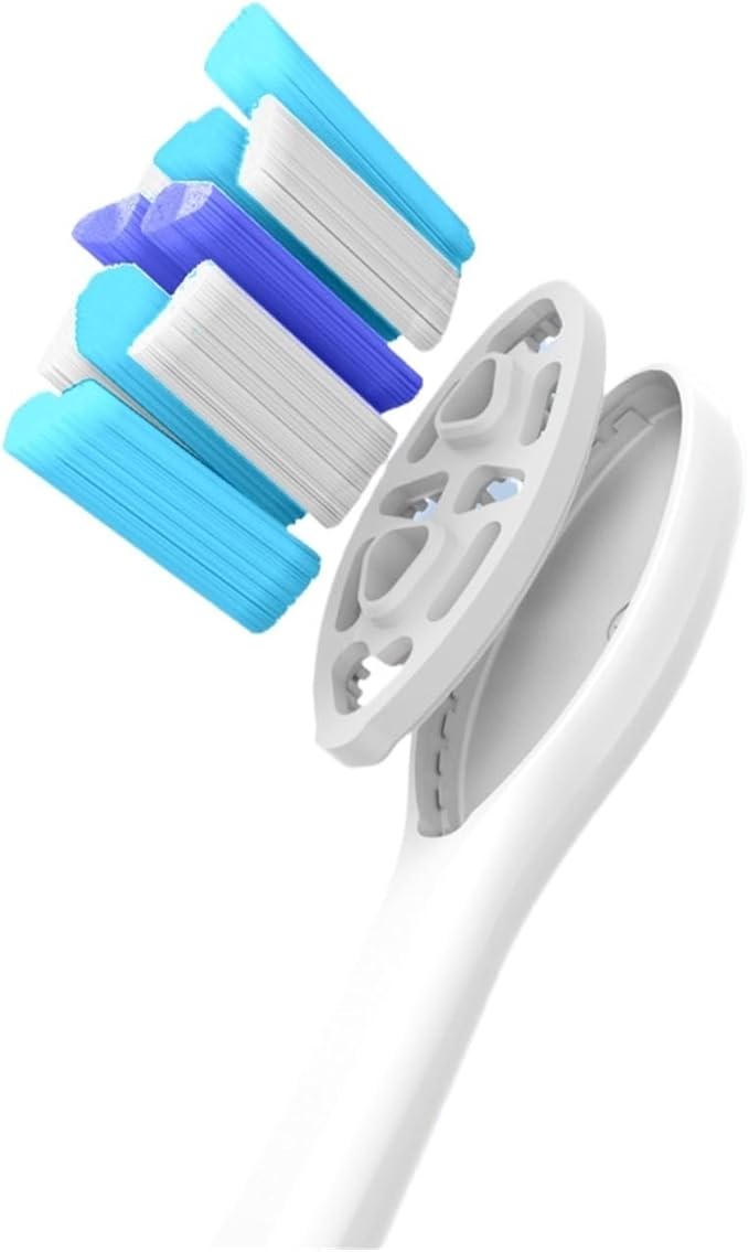 Compatible for Seago Electric Toothbrush Heads 12 PCS IPX7 Waterproof with Holder C027(SG-C027-12PCS Pink)