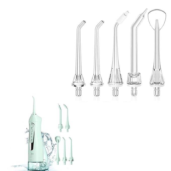 Water Dental Flosser Teeth Pick &amp Water Dental Flosser Tip Replacement Heads