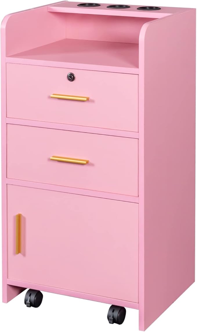 Locking Beauty Salon Storage Cabinet Hair Dryer Holder Stylist Equipment Drawer