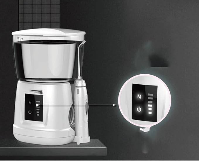 Water Flosser Professional for Teeth Gums Braces Dental Care for Teeth 1000ML Professional Oral Irrigator Family Dental Flosser with 6 Multifunctional Jet Tips (Color : White)
