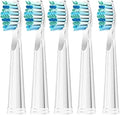 Replacement Toothbrush Heads Compatible for Seago SG-575/507B/551/958/908/909/917/610/659/719/910/548 Electric Toothbrush(White 5pcs)