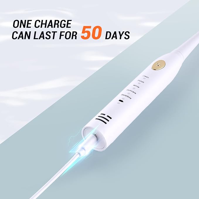 6 Pack Rechargeable Sonic Electric Toothbrush 42000 VPM 6 Cleaning Modes Smart 2-Min Timer USB Rechargeable IPX7 Waterproof 4 Brush Heads
