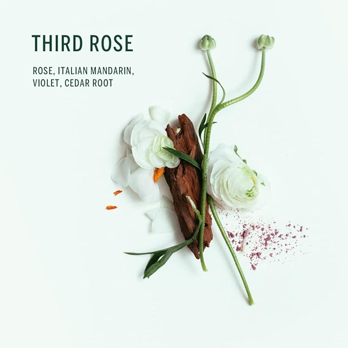 Corpus Third Rose Plant-Based Deodorant + Natural Body Wash Bundle | Vegan Cruelty-Free Non-Toxic Made in The USA