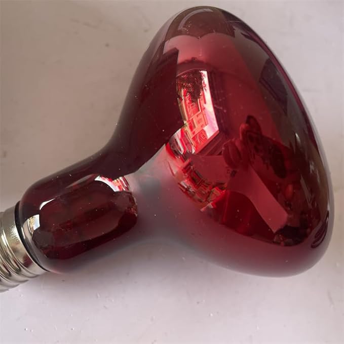 FORKIS R95E 230V 100W E27 Insulation Heat Lamp for Beauty Treatments
