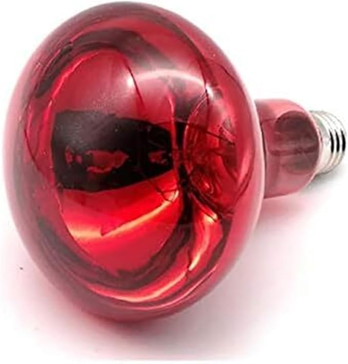 5 Head Infrared Heat Lamp Salon Hair Steamer 750W Hair Dryer Color Processor Spa Barber Adjustable Temperature Equipment with Rolling Wheels Bulbs