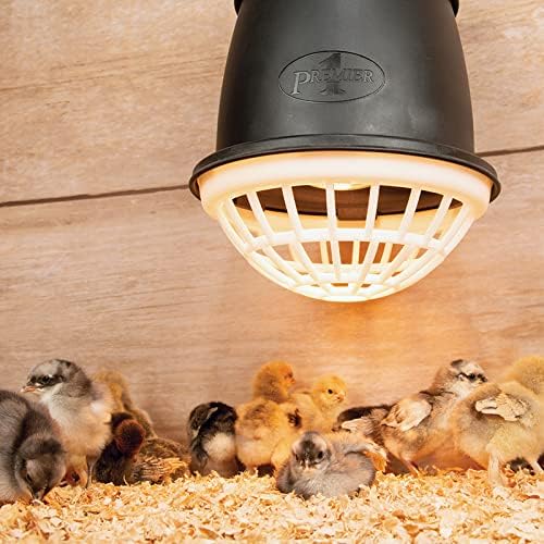 Premier 1 Heat Lamp Bulbs | Smooth Glass Infrared Bulb with Never-Loose Base Clear 2 Pack (175 watt)