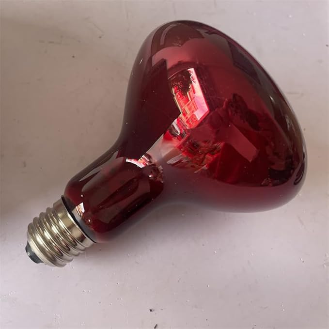 FORKIS R95E 230V 100W E27 Insulation Heat Lamp for Beauty Treatments