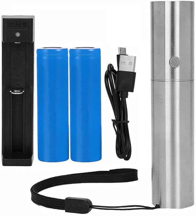 Max Absorption Density Red Light Therapy Cold Laser Flashlight - Optimal Red Deep-Red Near Infrared - Infrared 620nm 660nm 760nm and 830nm 6 W LED Light for Pain Relief (660 nm / 760 nm)