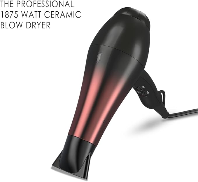 1875W Professional Hair Dryer Salon Lightweight Ionic Blow Dryer 2 Speed and 3 Heat Settings Powerful Ceramic Fast Dryer with Diffuser Concentrator and Comb (Black)