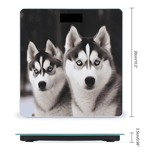 Digital Bathroom Scale for Body Weight Scale with Bright LCD Display High Accuracy Step-On Technology Auto On/Off Husky Dog Digital Scales 400 Lbs /180kg