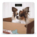 Papillon in The Box Bathroom ScaleHighly Accurate Digital Weighing Machine for People Bright LED Display Weight Scale for The Aldult Home Use