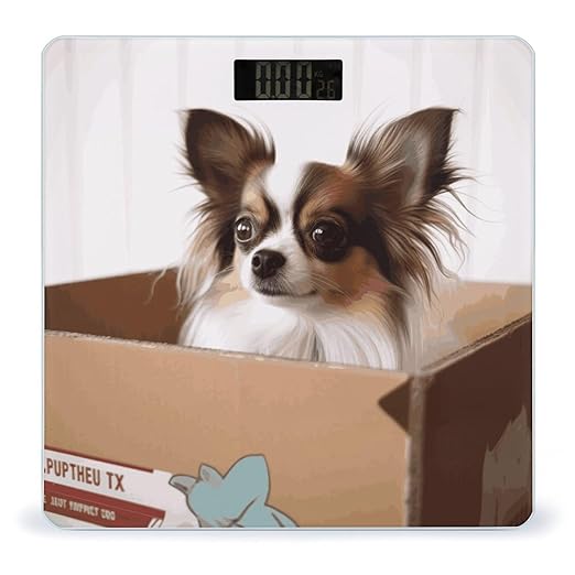 Papillon in The Box Bathroom ScaleHighly Accurate Digital Weighing Machine for People Bright LED Display Weight Scale for The Aldult Home Use
