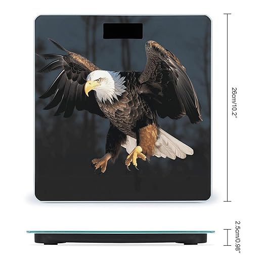 3D Bald Eagle Scale for Body Weight Safe Rounded Corners Tempered Glass Digital Bathroom Scale LED Display 400lb Capacity Weight Scales with High Precision Sensors