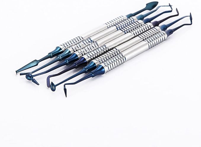6PCS Dental Tools KitsDental Oral Hygiene Tool KitTooth Pick Stainless Steel Hygiene Dentist Set for Home &amp Oral Use