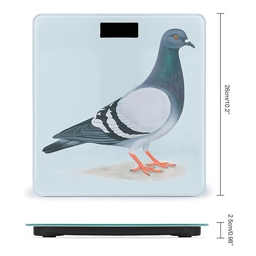Digital Bathroom Scale for Body Weight Scale with Bright LCD Display High Accuracy Step-On Technology Auto On/Off Pigeon Digital Scales 400 Lbs /180kg