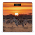 Africa Sunset Zebra Scale for Body Weight High Precision Digital Weight Scales with LCD Display Anti-Slip Sturdy Slim Tempered Glass Bathroom Scale for Home Use